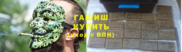 гидра Краснослободск