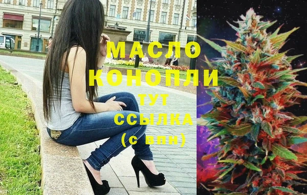 гидра Краснослободск