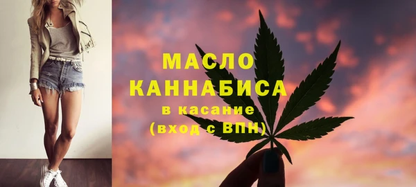 гидра Краснослободск