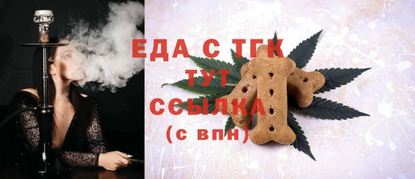 гидра Краснослободск