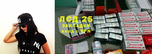 гидра Краснослободск