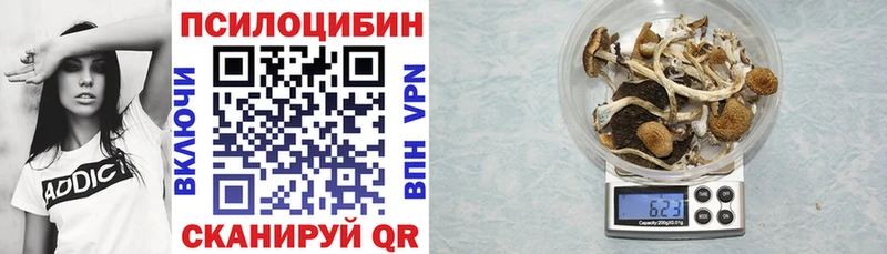 Галлюциногенные грибы мицелий  Купить  Белокуриха 